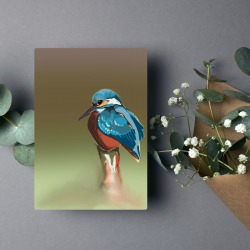 Kingfisher, Greeting Card