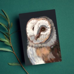 Owl, Greeting Card