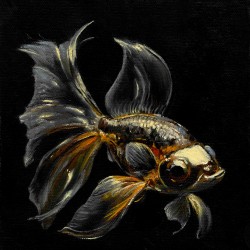 Goldfish, Oil Painting